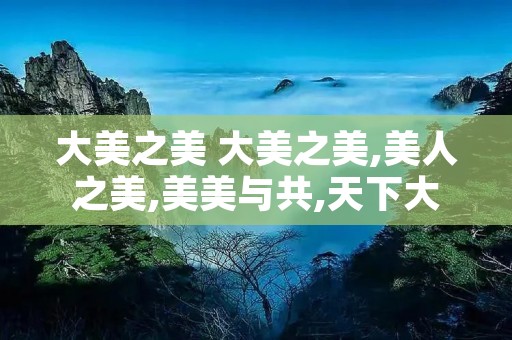 大美之美 大美之美,美人之美,美美与共,天下大同 大美之美 大美之美,美人之美,美美与共,天下大同