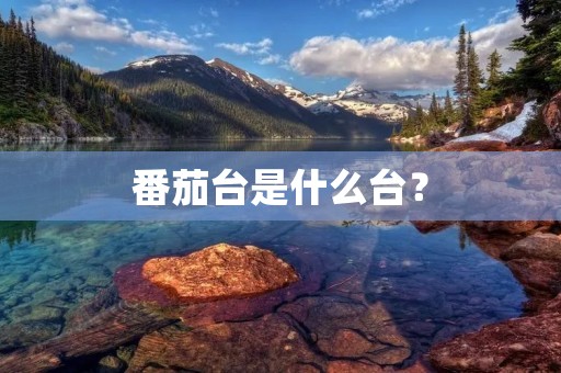 番茄台是什么台?