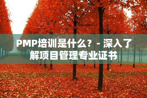 PMP培训是什么？- 深入了解项目管理专业证书