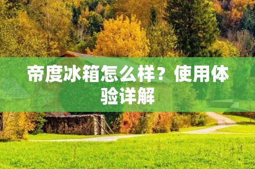 帝度冰箱怎么样？使用体验详解