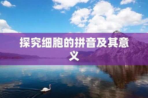 探究细胞的拼音及其意义 探究细胞的拼音及其意义