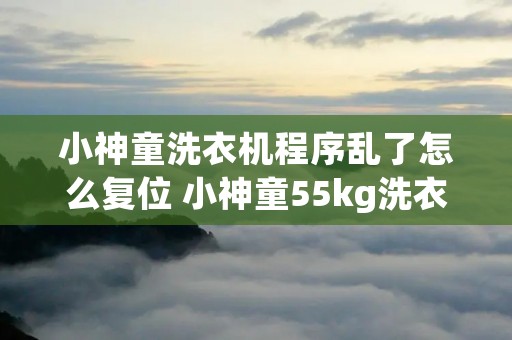 小神童洗衣机程序乱了怎么复位 小神童55kg洗衣机程序