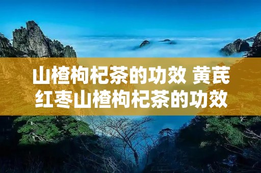 山楂枸杞茶的功效 黄芪红枣山楂枸杞茶的功效 山楂枸杞茶的功效 黄芪红枣山楂枸杞茶的功效