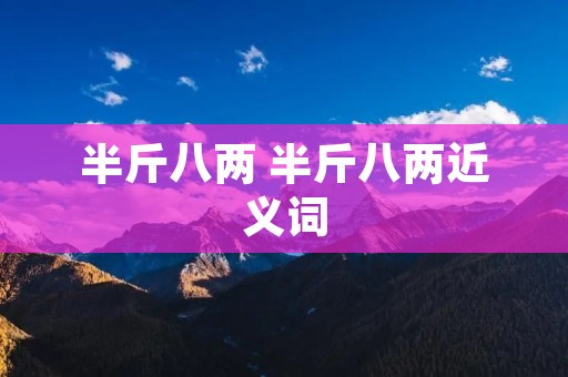 半斤八两 半斤八两近义词