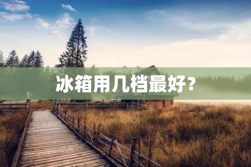 冰箱用几档最好？