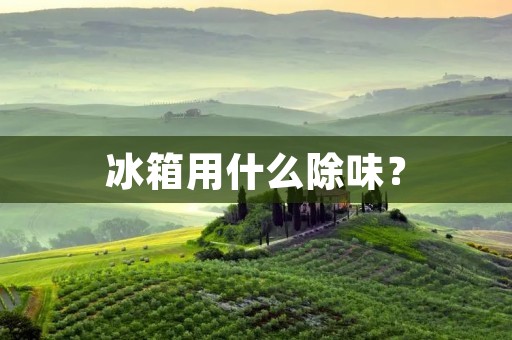冰箱用什么除味？