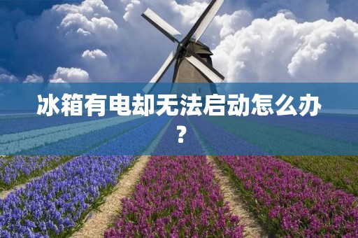 冰箱有电却无法启动怎么办？