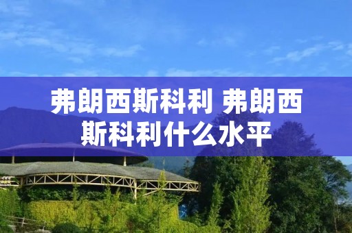 弗朗西斯科利 弗朗西斯科利什么水平
