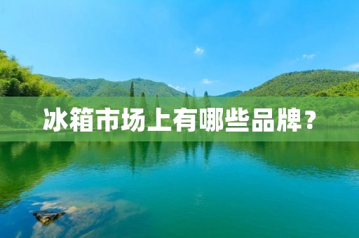 冰箱市场上有哪些品牌？