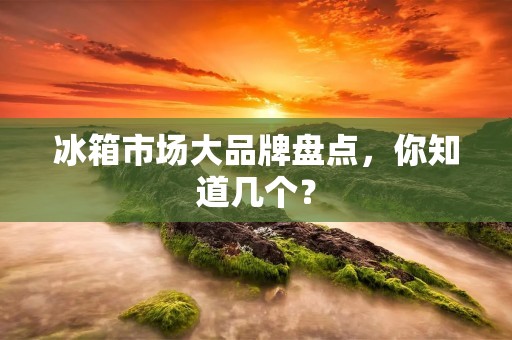 冰箱市场大品牌盘点，你知道几个？