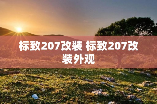标致207改装 标致207改装外观 标致207改装 标致207改装外观