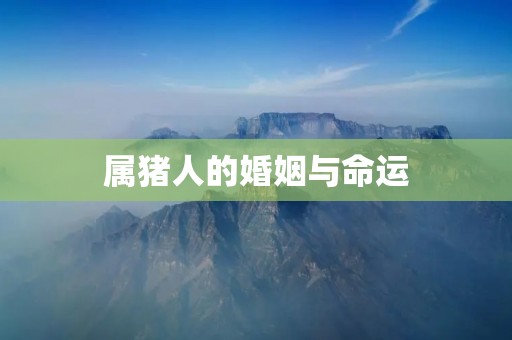 属猪人的婚姻与命运:如何化解矛盾,迎接幸福?
