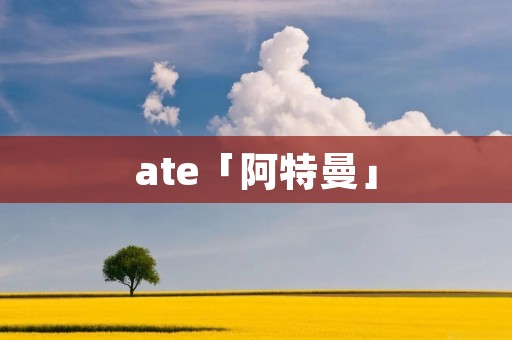 ate「阿特曼」
