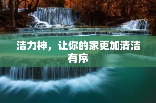 洁力神,让你的家更加清洁有序 洁力神,让你的家更加清洁有序