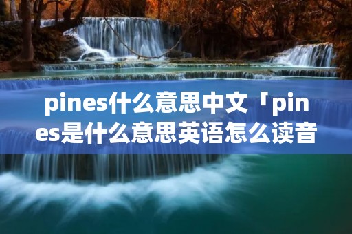 pines什么意思中文「pines是什么意思英语怎么读音」