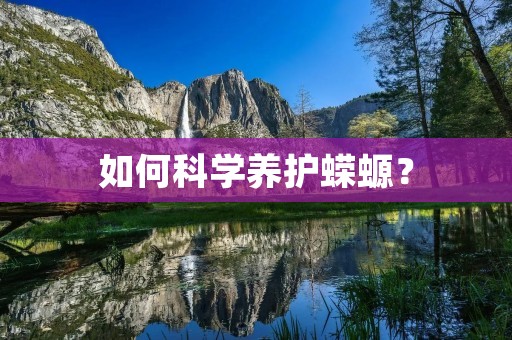 如何科学养护蝾螈？
