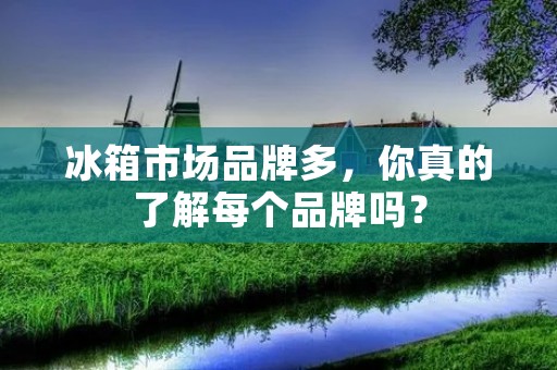 冰箱市场品牌多，你真的了解每个品牌吗？