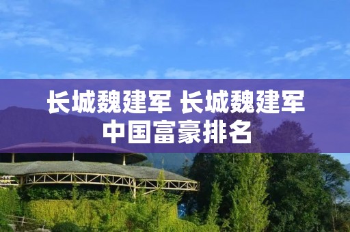 长城魏建军 长城魏建军中国富豪排名 长城魏建军 长城魏建军中国富豪排名