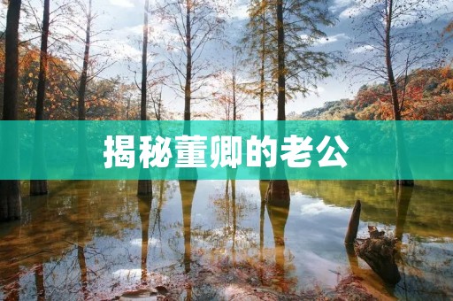 揭秘董卿的老公：他是谁？他们的爱情故事如何？