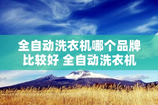 全自动洗衣机哪个品牌比较好 全自动洗衣机哪个品牌比较好用