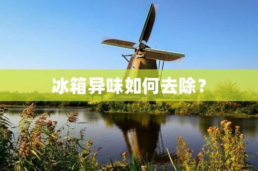 冰箱异味如何去除？