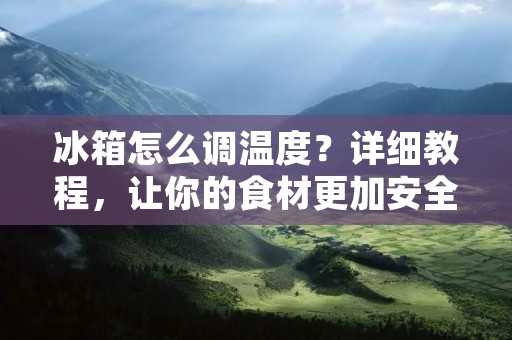 冰箱怎么调温度?详细教程,让你的食材更加安全 冰箱怎么调温度?详细教程,让你的食材更加安全