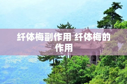 纤体梅副作用 纤体梅的作用