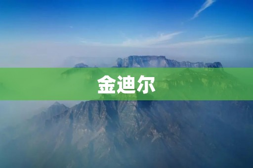 金迪尔:改变世界的创新科技 金迪尔:改变世界的创新科技