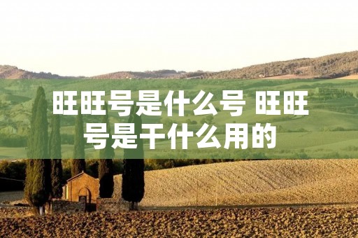 旺旺号是什么号 旺旺号是干什么用的