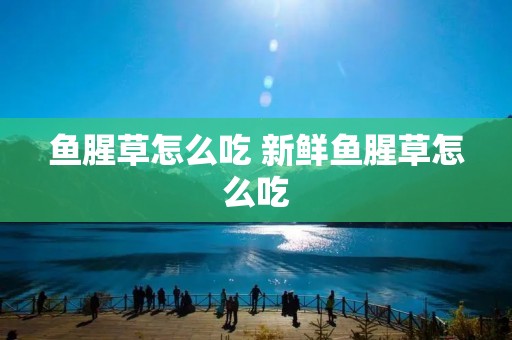 鱼腥草怎么吃 新鲜鱼腥草怎么吃