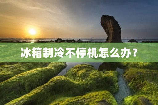 冰箱制冷不停机怎么办？