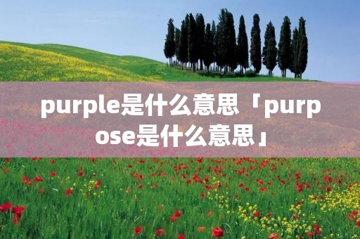 purple是什么意思「purpose是什么意思」 purple是什么意思「purpose是什么意思」