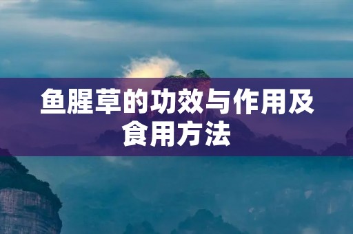 鱼腥草的功效与作用及食用方法