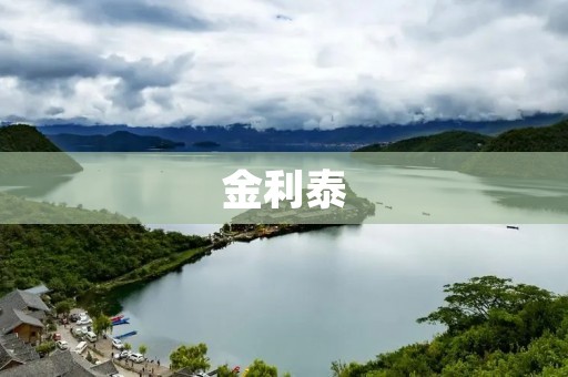 金利泰:成为行业领先者的秘密 金利泰:成为行业领先者的秘密