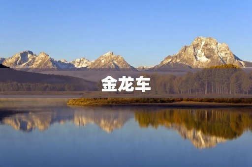 金龙车:中国自主品牌的闪亮明星 金龙车:中国自主品牌的闪亮明星
