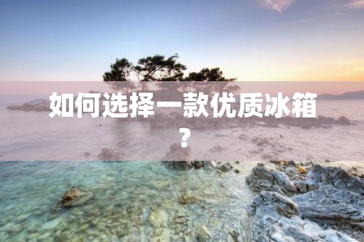 如何选择一款优质冰箱? 如何选择一款优质冰箱?