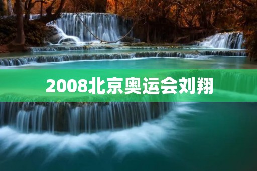 2008北京奥运会刘翔：一个传奇的诞生