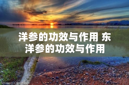 洋参的功效与作用 东洋参的功效与作用