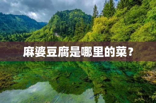 麻婆豆腐是哪里的菜？