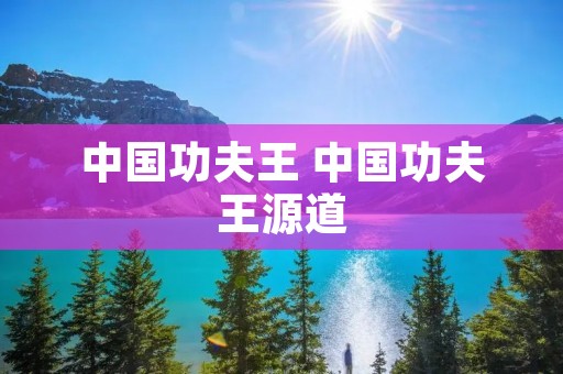 中国功夫王 中国功夫王源道 中国功夫王 中国功夫王源道