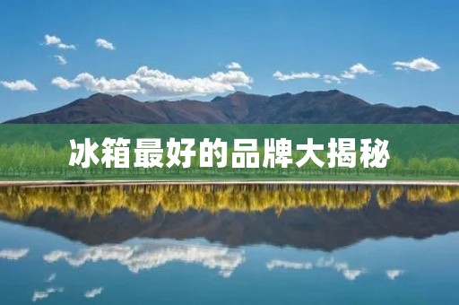 冰箱最好的品牌大揭秘:哪个品牌最值得信赖? 冰箱最好的品牌大揭秘:哪个品牌最值得信赖?
