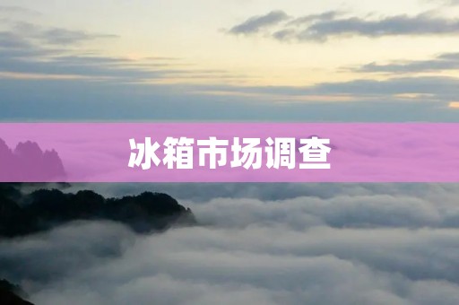 冰箱市场调查：哪个品牌是最好的？