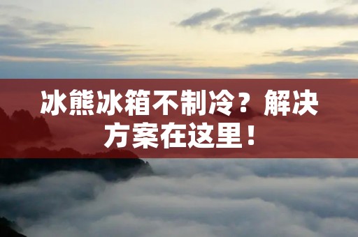 冰熊冰箱不制冷？解决方案在这里！