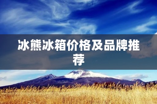 冰熊冰箱价格及品牌推荐