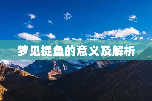 梦见捉鱼的意义及解析