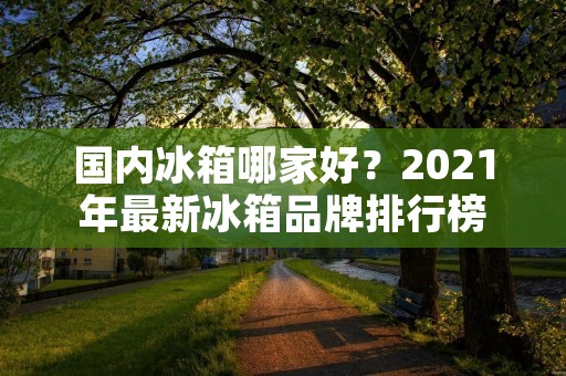 国内冰箱哪家好?2021年最新冰箱品牌排行榜