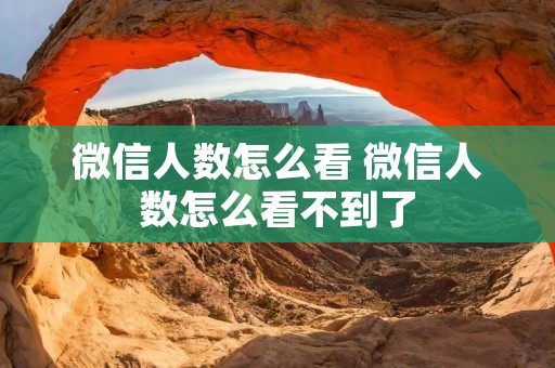 微信人数怎么看 微信人数怎么看不到了 微信人数怎么看 微信人数怎么看不到了