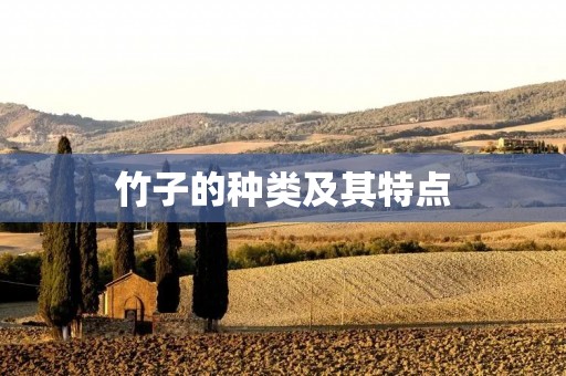 竹子的种类及其特点