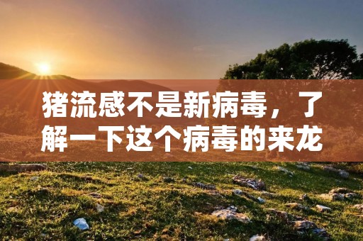 猪流感不是新病毒，了解一下这个病毒的来龙去脉