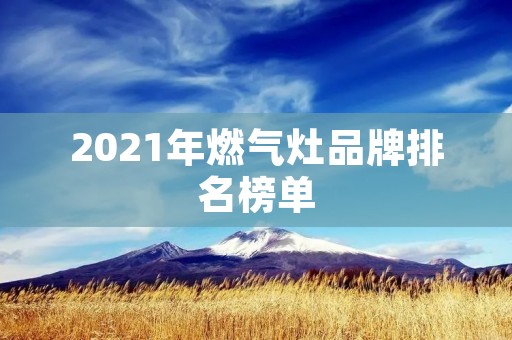 2021年燃气灶品牌排名榜单